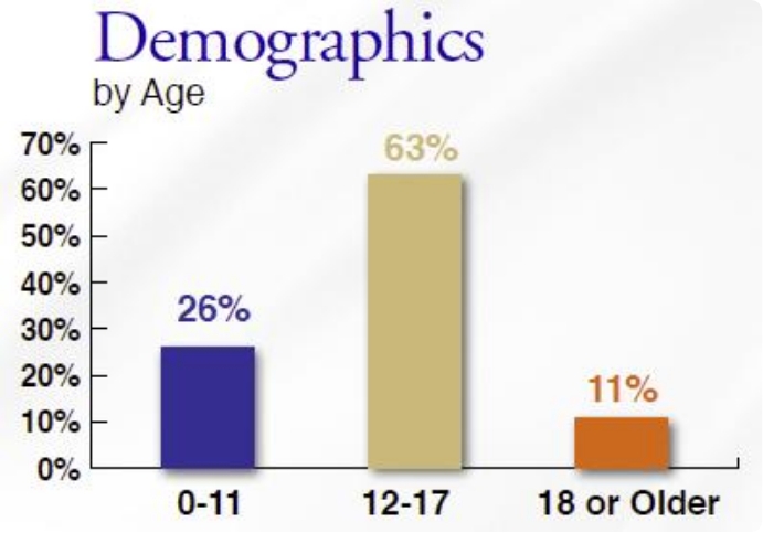 YFT-Capital-Campaign--demographics